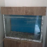 فقط با یک میلیون اکواریوم چند میلیونی بخر