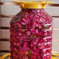 ترشیجات|خوردنی و آشامیدنی|اصفهان, حصه شمالی|دیوار