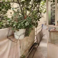 خانه در تهرانپارس|فروش آپارتمان|تهران, استخر|دیوار