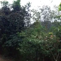 زمین مسکونی