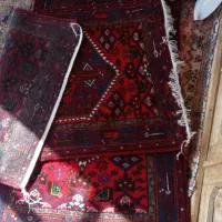 فرش دستباف|فرش|قیدار, |دیوار