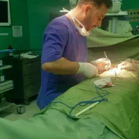 تزریقات،زخم بستر،پانسمان،خدمات پرستاری|خدمات آرایشگری و زیبایی|پیشوا, |دیوار