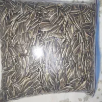 تخمه آفتابگردان خوی s400