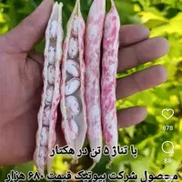 فروش جو