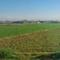 زمین کشاورزی زراعی