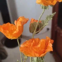 باکس گل شیشه ای مصنوعی مناسب هدیه|گل مصنوعی|رباطکریم, رباطکریم|دیوار