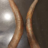 شاخ بوفالو آفریقایی