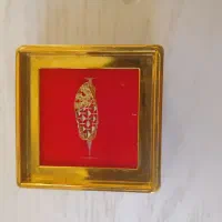 انگشتر نونو بدون استفاده