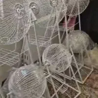 گردونه