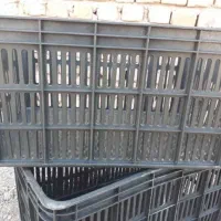 سبد گوجه ربی