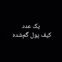 مدارک گمشده