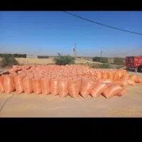 کاه گندم کردستان دیم|خدمات باغبانی و درختکاری|کاشان, ۲۲ بهمن|دیوار