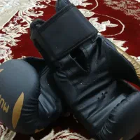 ورزشی بوکس