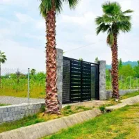 تو قلب جنگل براتون چه زمینی آوردم به به