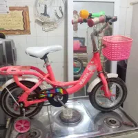 دوچرخه 12|دوچرخه، اسکیت، اسکوتر|تربت‌حیدریه, کلاته توکلی|دیوار