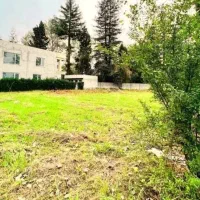 230 م زمین بافت شهرک چسبیدجنگل با سند /ا