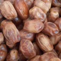 غصب یا خصبک تازه