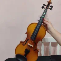 ویالون Tf142 بسیار تمیز 4/4