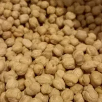 نخود بهاره سنقر