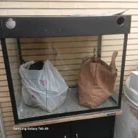 آگواریوم