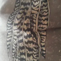 کانال(چنل)روبیکا 13هزار