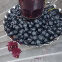 سرشت