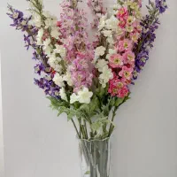 10شاخه گل یاس شب بو