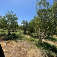 ۴۵۰مترسنددارشهرکیجاباندماونداقساط۵ماه)اببرقگاز|فروش زمین و ملک کلنگی|جاجرود, |دیوار