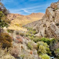 فروش ۲پلاک۸۵۰متر باغچه کوچه۴ قلات