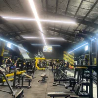 نظارت چی باشگاه