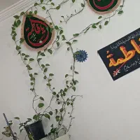 پایه گل با 8عدد گلدان|گل و گیاه طبیعی|مشهد, رسالت|دیوار