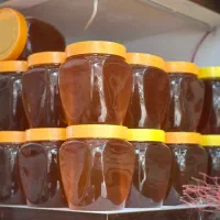 عسل کوهی درجه یک (کاملا درمانی)