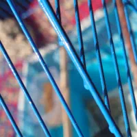 چهار عدد طوطی برزیلی مست