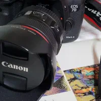 Canon 7D mark2 . Lens canon 24 105 one