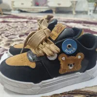 کتونی در حد نو|کیف، کفش، کمربند|پرند, فاز ۲|دیوار