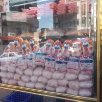 کارگر مرغ خورد کن نیازمندیم