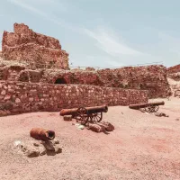 گشت یک روزه هرمز|تور و چارتر|هرمز, |دیوار