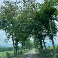 ۲۸۰ متر فومن سند دار|فروش زمین و ملک کلنگی|فومن, |دیوار