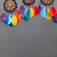 فروش تک و عمده دریم کچر