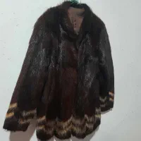 فروش کت پوست اصل