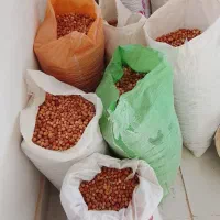 سنجد کوسرخ|خوردنی و آشامیدنی|کوهسرخ, |دیوار