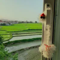 جوجه‌ی گردن دراز