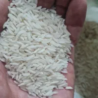 برنج ایرانی کاملا یکدست