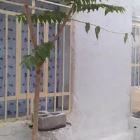 سویت، اجاره خونه، مسافرخانه، هتل|اجارهٔ کوتاه‌مدت آپارتمان و سوئیت|بوکان, |دیوار