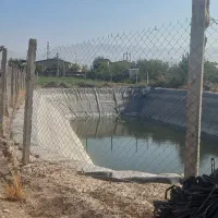 پیشنهاد کار و همراهی