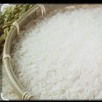 برنج صدری دم سیاه + هاشمی