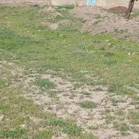 زمین 1200متر