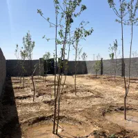 زمین ملکی ۵۸۵متر آب برق گاز با نگهبانی سه شیف|فروش زمین و ملک کلنگی|مشهد, فردوسی|دیوار