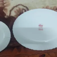 ظروف آرکوپال ایرانی.