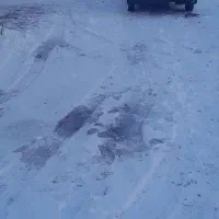 بلیط استخر تالارشهر قزوین